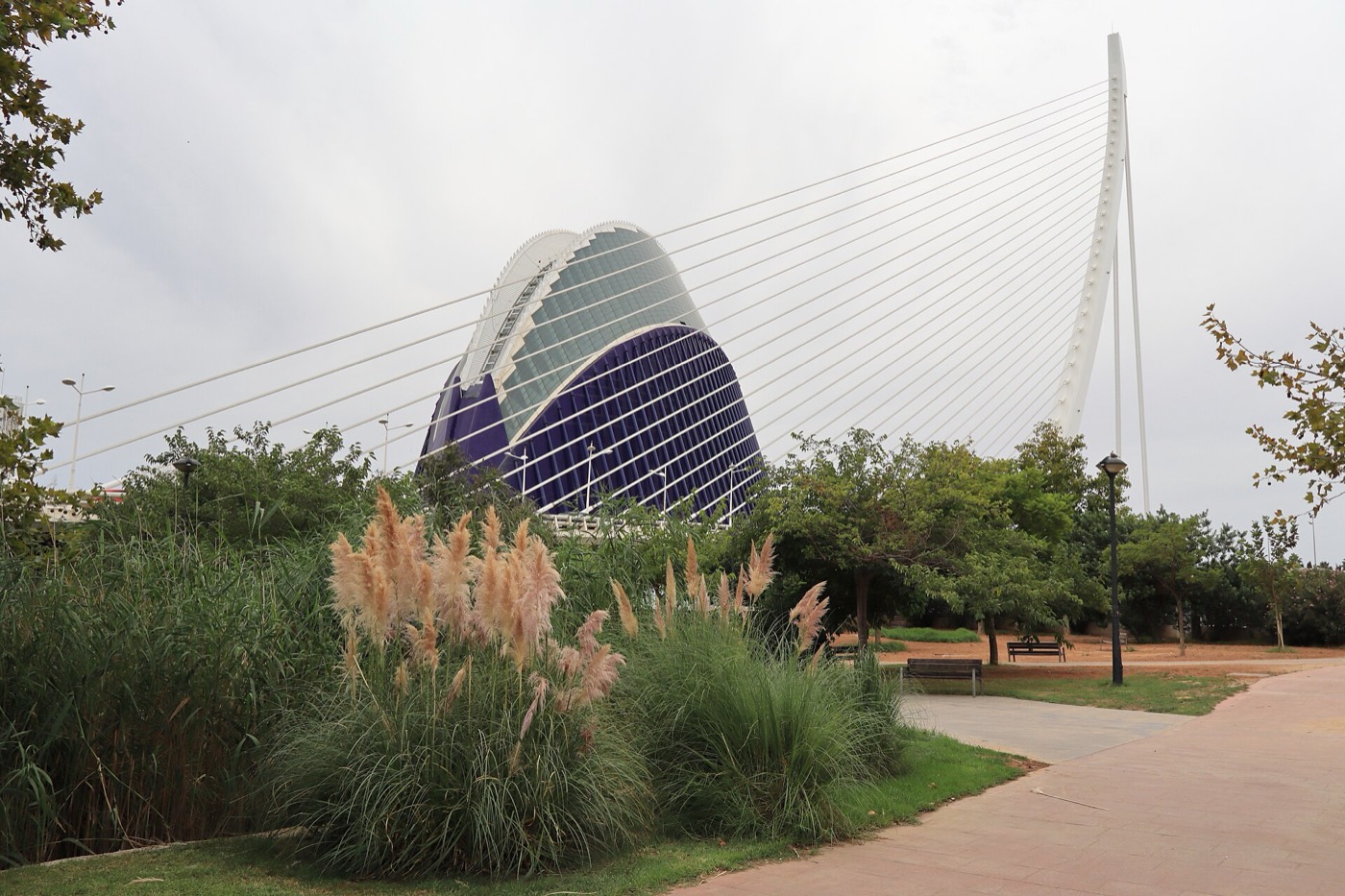 The &Agrave;gora and the Assut de l'Or bridge at the City of Arts